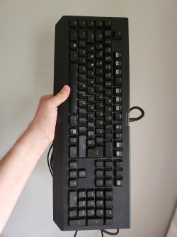 20250629_182145.jpg