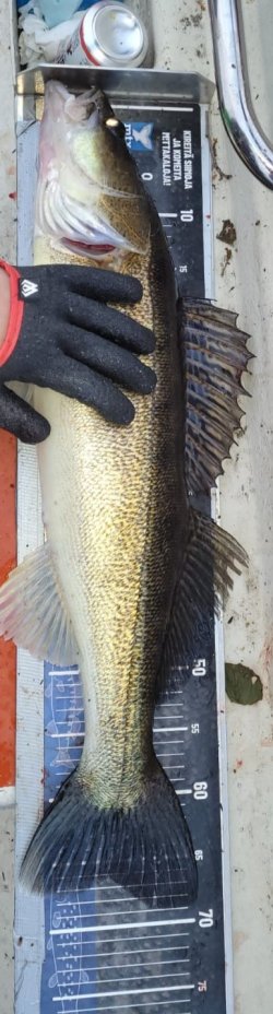 IMG_20250703_005818.jpg