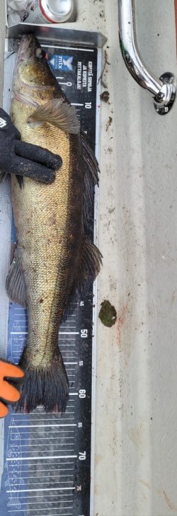 IMG_20250703_005716.jpg