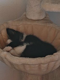 IMG20250716181930.jpg