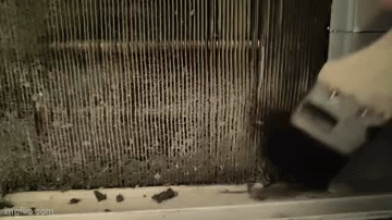 a0q0z3.gif