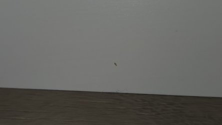 1000006420.jpg