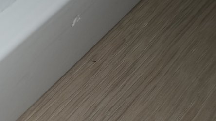 1000006418.jpg