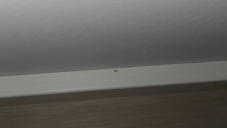 1000006447.jpg