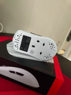 IMG_20250815_193530488.jpg