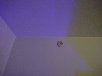 img33.jpg