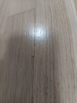 20250915_170910.jpg