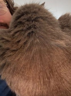 IMG_0023.jpeg