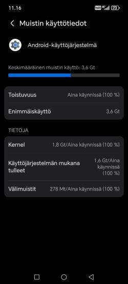 Screenshot_20251024_111639_com_android_settings_MemoryDetailActivity.jpg