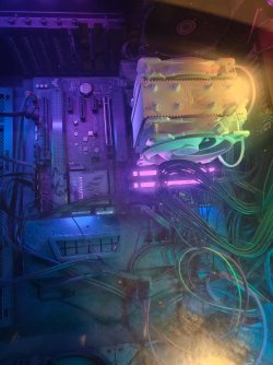 1000011470.jpg 1000011470.jpg