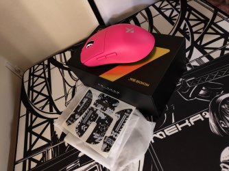 IMG_20251030_165929642.jpg IMG_20251030_165929642.jpg