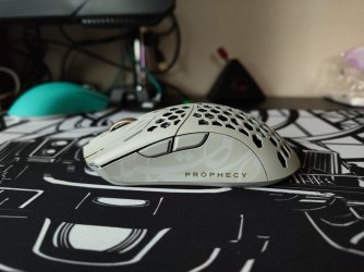 IMG_20251031_142523066.jpg IMG_20251031_142523066.jpg