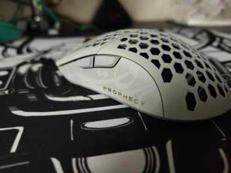 IMG_20251031_142545571.jpg IMG_20251031_142545571.jpg