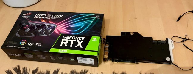 IMG_0034.jpeg IMG_0034.jpeg