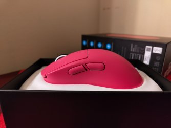 IMG_20251103_182702619.jpg IMG_20251103_182702619.jpg