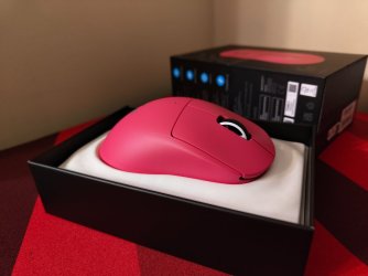 IMG_20251103_182712880.jpg IMG_20251103_182712880.jpg