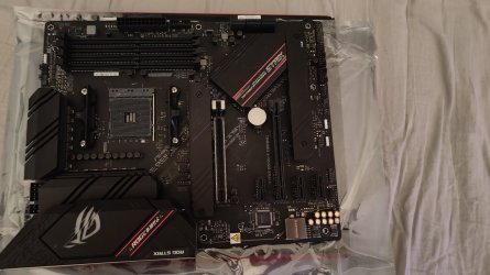 1000039253.jpg 1000039253.jpg