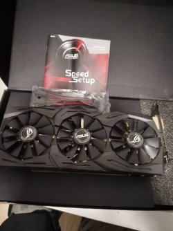 1000105296.jpg 1000105296.jpg