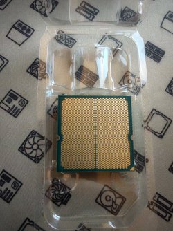 IMG_20251115_073009.jpg IMG_20251115_073009.jpg