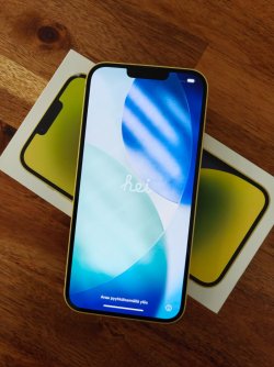 IMG20251121110907.jpg IMG20251121110907.jpg