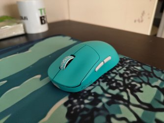 IMG_20251120_122910468.jpg IMG_20251120_122910468.jpg