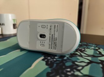 IMG_20251120_122930258.jpg IMG_20251120_122930258.jpg