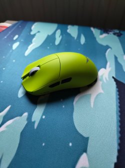 IMG_20251123_122653774.jpg IMG_20251123_122653774.jpg