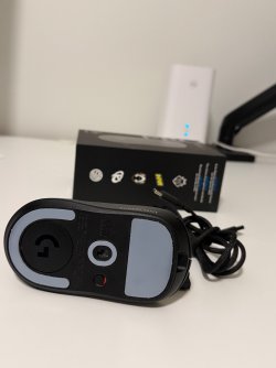 IMG_9313.jpeg IMG_9313.jpeg