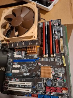 P5Q_Pro.jpg P5Q_Pro.jpg