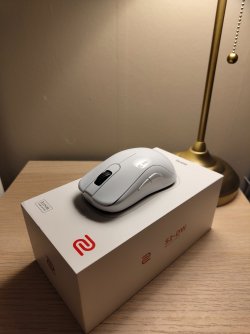 IMG_20251204_210826502.jpg IMG_20251204_210826502.jpg