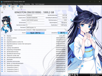 Kingston NV3 1TB.png Kingston NV3 1TB.png