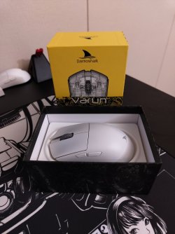 IMG_20251205_181431418.jpg IMG_20251205_181431418.jpg