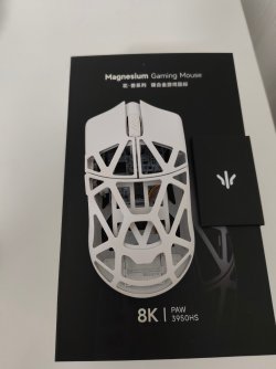 1000010013.jpg 1000010013.jpg