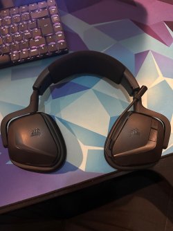 IMG_0014.jpeg IMG_0014.jpeg