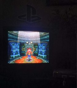 Trini2.jpg Trini2.jpg