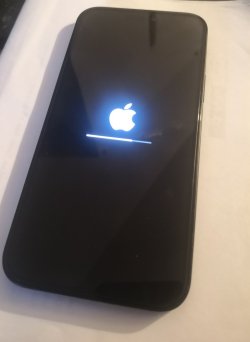 IMG_20251216_131522_edit_240255550698756.jpg IMG_20251216_131522_edit_240255550698756.jpg