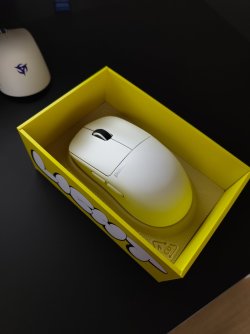 IMG_20251216_133501447.jpg IMG_20251216_133501447.jpg