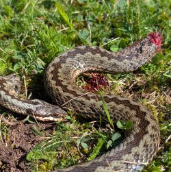 PXL_20250811_095701467.RAW-01.COVER (2).jpg PXL_20250811_095701467.RAW-01.COVER (2).jpg