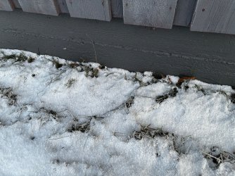 IMG_0605.jpeg IMG_0605.jpeg