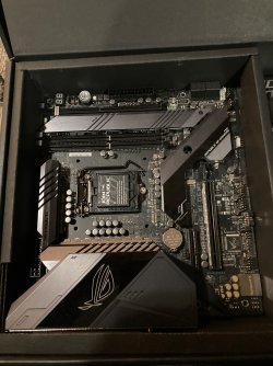 IMG_4562.jpeg IMG_4562.jpeg