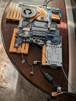 PXL_20250515_073947073.RAW-01.COVER (1) (Medium).jpg