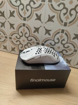 IMG_20260124_022126434.jpg IMG_20260124_022126434.jpg