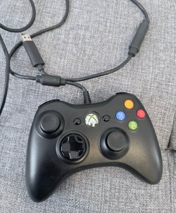 IMG_2268 C0584683.jpg