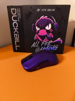 IMG_20260131_115856412.jpg IMG_20260131_115856412.jpg