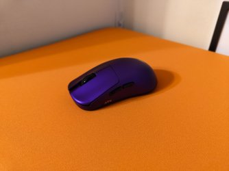 IMG_20260131_115758936.jpg IMG_20260131_115758936.jpg