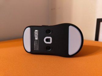 IMG_20260131_115824216.jpg IMG_20260131_115824216.jpg