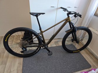 20260207_115237.jpg 20260207_115237.jpg