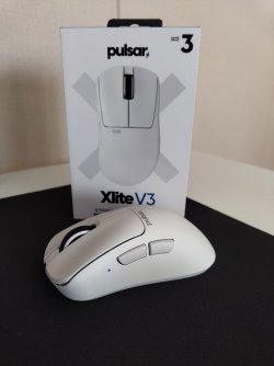 IMG_20260214_130133434.jpg IMG_20260214_130133434.jpg