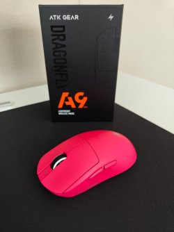 IMG_20260217_135930461.jpg IMG_20260217_135930461.jpg