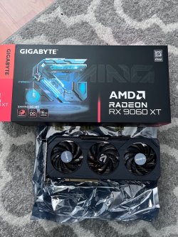 IMG_4461.jpeg IMG_4461.jpeg